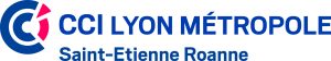 les-matins-du-monde-voyage-groenaland-bateau-ski